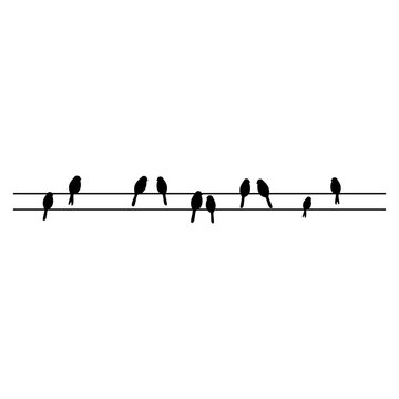 birds on wires