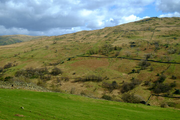 Obraz premium Extensive old dry stone walls pattern the hillsides viewed along the Whinlatter Pass near Braithwaite, Cumbria, UK