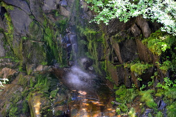 Waterfall in Mount Rainier National Park, Washington