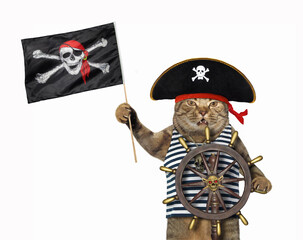 Cat holds pirate flag and helm of ship