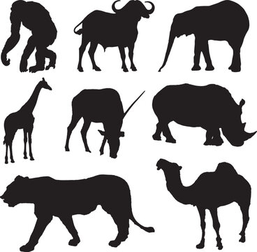 African animals silhouettes set.  collection of African animals silhouette