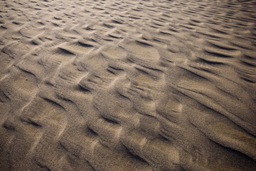 春の鳥取砂丘とその紋様 鳥取県 鳥取砂丘