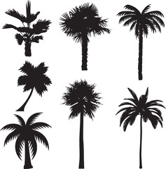 palm trees silhouettes . tropical palm trees, black silhouettes 