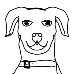 dog with bone