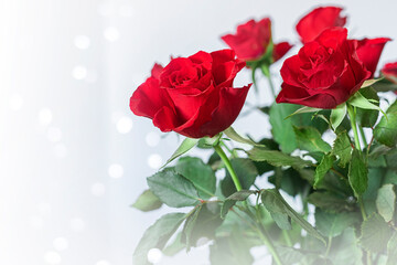 Red roses in vase on light background