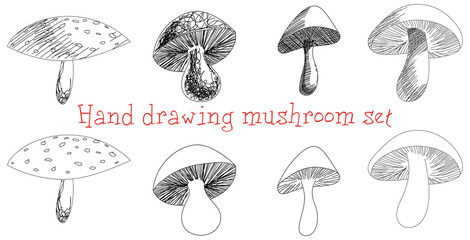 Hand drawing mushrooms for fantasy books and color books