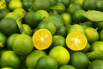 Fresh green limes background. Many ripe calamansi limes close up.