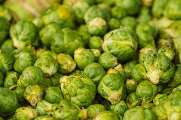 Fototapeta premium Green Brussels sprouts or little cabbages broccoli in a farmer agricultural street market ready to be sold