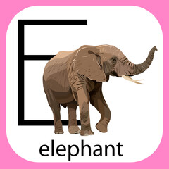 vector image of an elephant on a white isolated background in a frame with the inscription of the word elephant