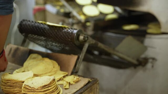 Stacks of fresh tortillas set as new tortillas roll off the conveyor belt at a tortillaria.