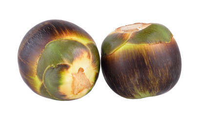 Asian Palmyra palm, Toddy palm, Sugar palm on transparent png