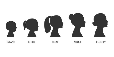 The stages of a woman's growing up - infant, child, teen, adult, elderly. Collection of silhouettes of women of different ages. Illustration on transparent background - obrazy, fototapety, plakaty