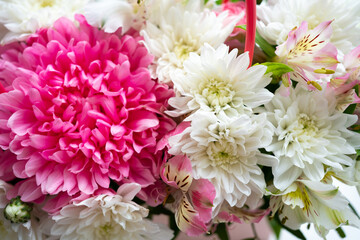 bouquet of pink peonies