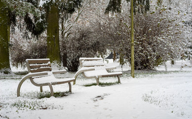 Park pod śniegiem . Mała alejka parkowa . Ławki pod śniegiem , widoczne też stare , duże świeki (i inne krzewy i drzewa) pod śniegiem oraz latarnia . © Grzegorz