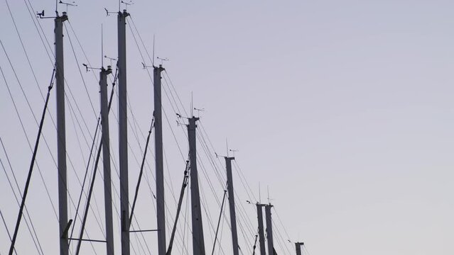 Yacht masts in parking lot in marina. Unrecognizable boats, top of their masts against sunset sky.