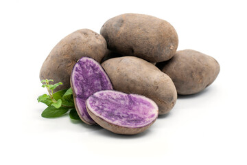 Nahaufnahme der violetten Kartoffelsorte 'Blauer Schwede'