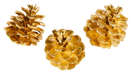 set of pine cones isolated transparent png