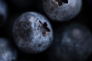 Close-up of a few freshly picked dark blueberries on dark background among other blueberries. Narrow depth of field