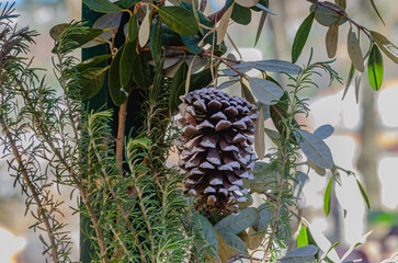 Una piña con hojas de laurel y ramas de romero