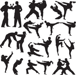 couple exercising karate