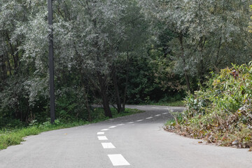 Fototapeta na wymiar Bicycle asphalt road curve in green city park. Recreation area for outdoors activity