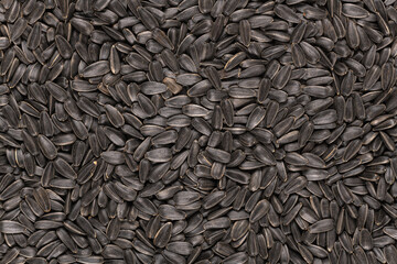 Macro image of organic black sunflower seeds, texture and background.