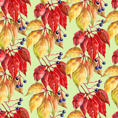 Watercolor autumn leaves of wild grapes with berry. Seamless pattern on green background.