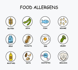food allergens icons on the white background