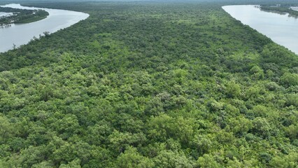 Obraz premium Sundarban the largest mangrove forest. Aerial Photo
