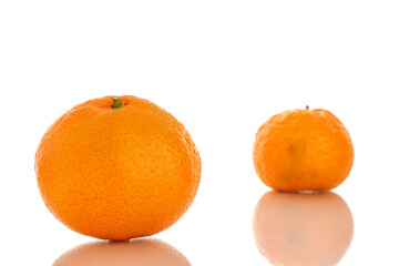 Two sweet tangerines, macro, isolated on white background.
