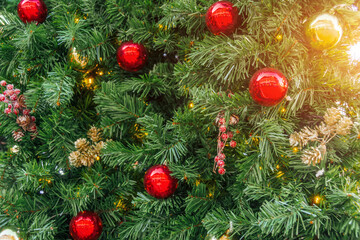 The texture of the green spruce and decoration red balls, cones and berries, christmas background.