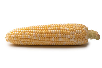 Yellow corn isolated on white background. Copyspace.