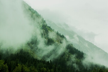 beautiful misty foggy mountain landscape