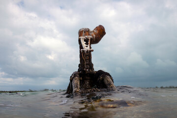 The wreck of a light aircraft in shallow water off the coast of South Bimini, Bahamas