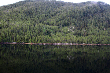 Coastal landscape with reflecting forest Inside Passage British Columbia, Canada 