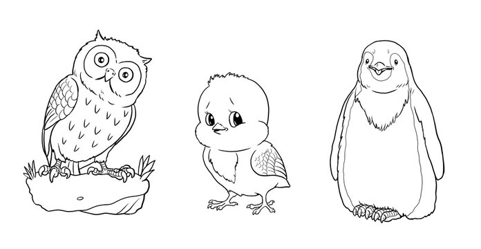 Cute owl, chick and penguin for coloring. Template for a coloring book with funny animals. Coloring template for kids.
