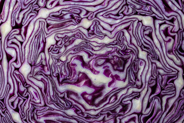 Obraz premium Background of blue cabbage in a section, macro photography. Closeup, top view. Texture and pattern of raw purple cabbage