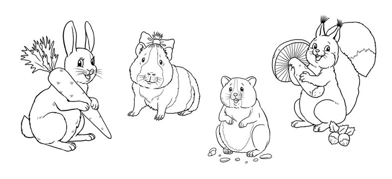 Cute rabbit, squirrel, hamster and guinea pig to color in.  Template for a coloring book with funny animals. Coloring template for kids.