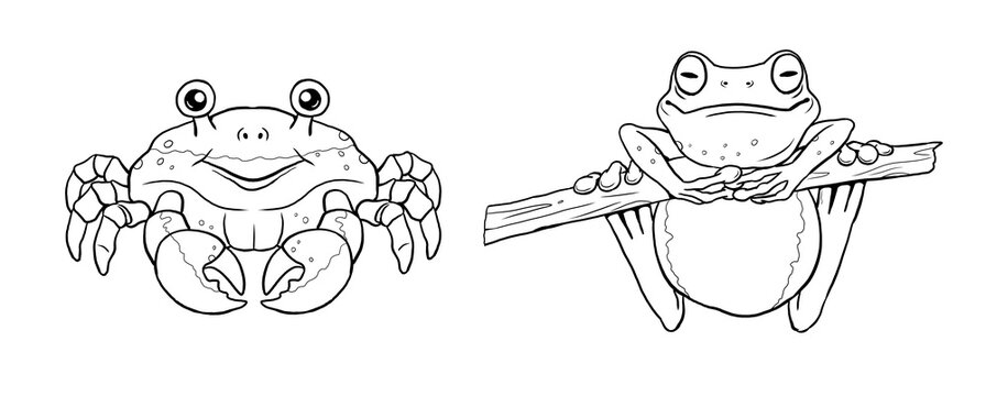 Cute crabbe and tree frog to color in. Template for a coloring book with funny animals. Coloring template for kids.