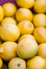 des citrons dans une panière violette. Des agrumes dans un panier violet. Des citrons naturels. Des citrons de Collioure. De nombreux citrons. un étals de citrons. Apport de vitamine C