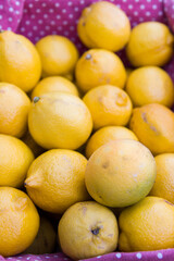 des citrons dans une panière violette. Des agrumes dans un panier violet. Des citrons naturels. Des citrons de Collioure. De nombreux citrons. un étals de citrons. Apport de vitamine C