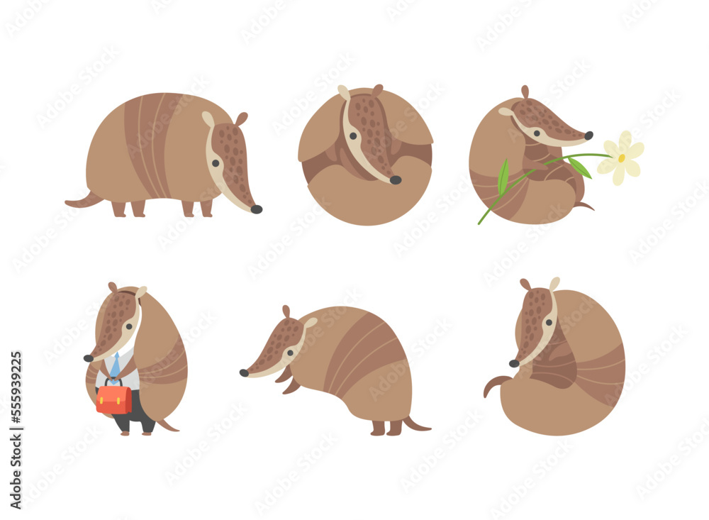 Poster cute armadillo character with armor shell engaged in different activity vector set