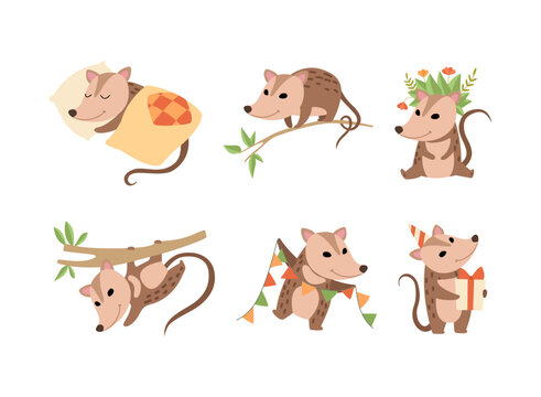 Cute Opossum Animal Engaged in Different Activity Vector Set