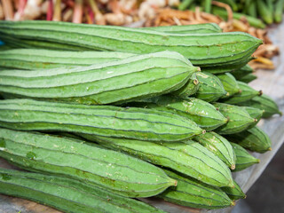 angled luffa
