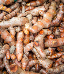 turmeric root