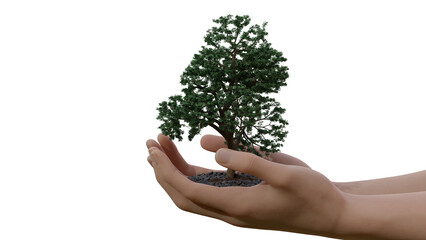 Tree growth on human hand realistiic with 3d rendering on side view include alpha PNG format.