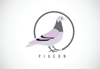 Pigeon in a circle. Pigeon logo design template vector illustration