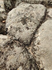 wall