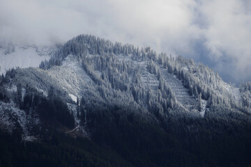 Blick zu den Sonnenk&ouml;pfen.
