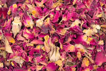 Closeup detail of the pink rose petals backdrop